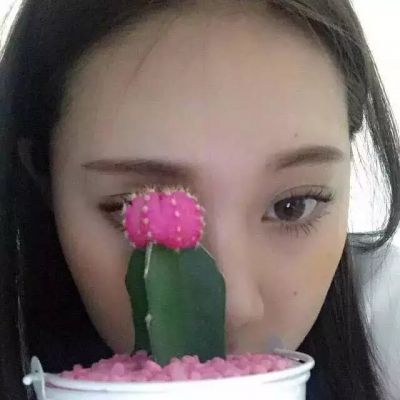 2024最新正能量女生微信网名大全｜阳光励志昵称精选