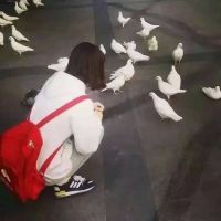伤感三字昵称集锦与2025年流行元素