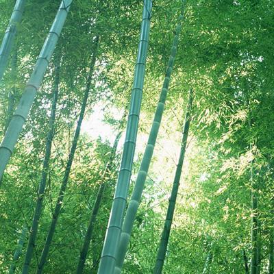 80叔叔网名大全：创意昵称、SEO优化技巧一网打尽